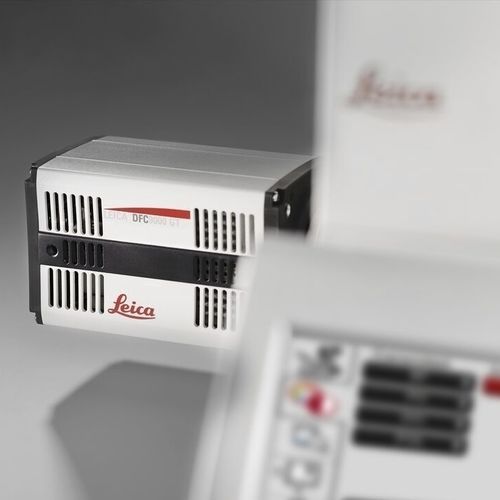 Mikroskop-Kamera - DFC9000 - Leica Microsystems - digital / CMOS / fluoreszierend