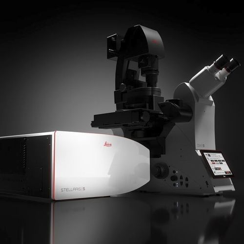 Optisches Mikroskop - STELLARIS series - Leica Microsystems - Labor / für Biowissenschaften / Fluoreszenz Lifetime Imaging