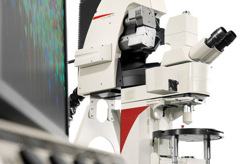 Digitales Mikroskop - TCS SP8 MP - Leica Microsystems - Infrarot / Labor / für Organ