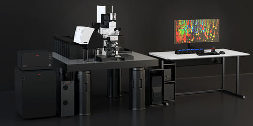 Multiphoton Mikroskop - STELLARIS DIVE - Leica Microsystems - optisch / biologisch / Konfokal