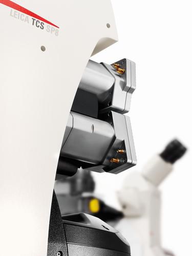Optisches Mikroskop - TCS SP8 - Leica Microsystems - Labor / aufrecht / Konfokales Laser-Scanning