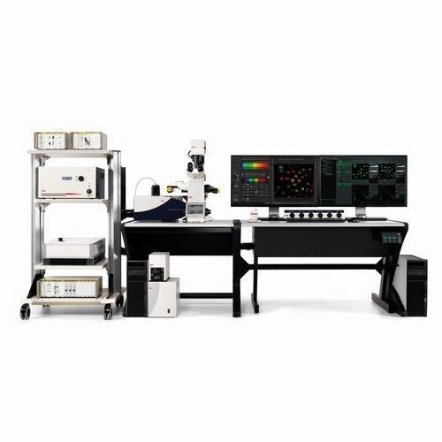 Digitales Mikroskop - TCS SP8 SMD - Leica Microsystems - Labor / aufrecht / Konfokal