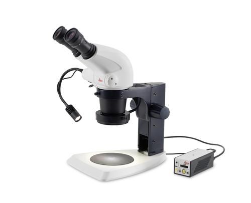 Lichtquelle für Stereomikroskope - LED1000 - Leica Microsystems - LED / kompakt