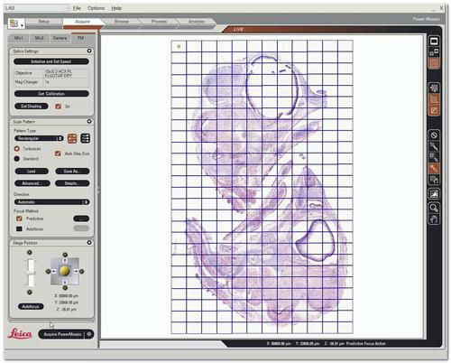 Medizinische Software - LAS Power Mosaic - Leica Microsystems - Labor / für Digitalmikroskope / Visualisierung