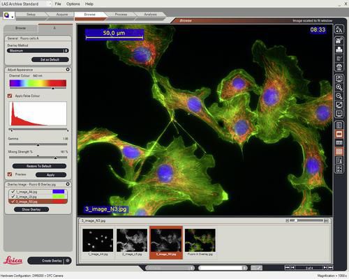 Medizinische Software - LAS Image Overlay - Leica Microsystems - Labor / für Digitalmikroskope / Visualisierung