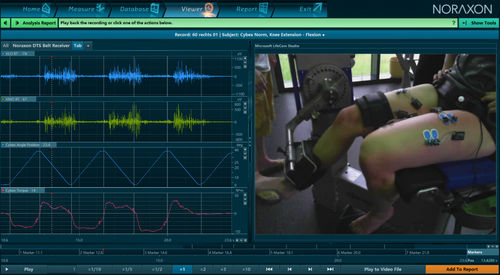 Software-Modul / Analyse - myoANALOG™ - NORAXON - für Elektrophysiologie