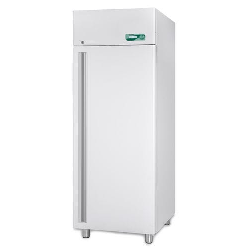 Gefrierschrank für Krankenhaus - SUPERARTIC 700 ECT-F - Fiocchetti Scientific - Labor / vertikal / Schrank