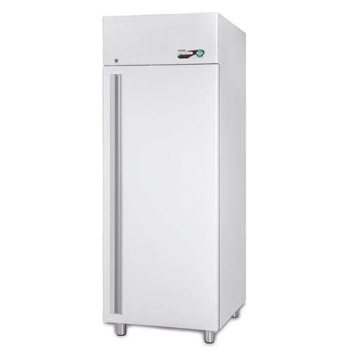 Gefrierschrank für Krankenhaus - SUPERARTIC 700 ECT-F - Fiocchetti Scientific - Labor / Schrank / 1 Tür