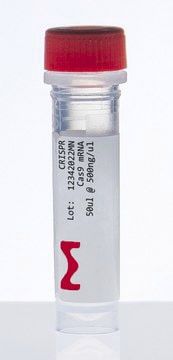 Cas9-Protein-Reagenz - CAS9MRNA-1EA - Merck - für DNA-Sequenzierung