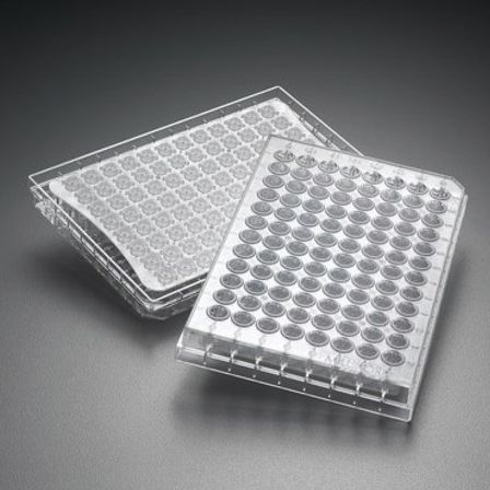 Mikroplatte für Forschungszwecke - Multiscreen® - Merck - Zellkultur / Filtrierung / Filter