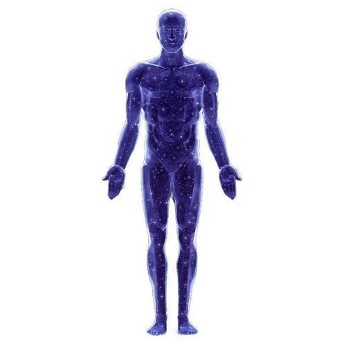 KI-Plattform / für Kardiologie - SonoAI - CHISON Medical Technologies - für Krankenhaus / für die medizinische Forschung / für medizinische Bildgebung