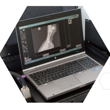 Erfassungssystem für Veterinärradiographie - MUSICA DR - AGFA - tragbar