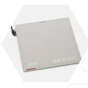 Flachbilddetektor für Veterinärradiographie - DX-D 60 - AGFA - tragbar / 17 x 17