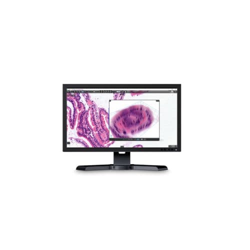 Analysesoftware - CaseViewer - Sysmex Europe - Viewer / medizinisch / für Tablet-PC