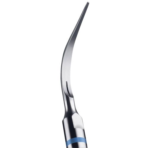 Ultraschalleinsatz für Erwachsene - NEWTRON&reg; - ACTEON GROUP - piezoelektrisch / für Endodontie / für Zahnprophylaxe