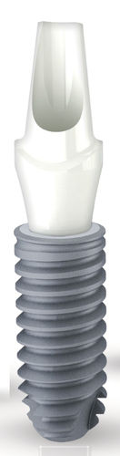 Zahnimplantat / Konus zylindrisch - Axiom® REG - ANTHOGYR   - Titan / interner Dreipass