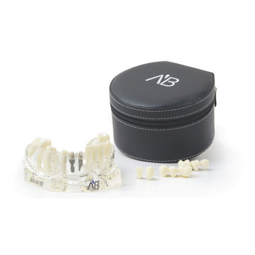 Anatomisches Modell / Kiefer - TLJ  - A.B. Dental Devices - für Implantologie / Kunststoff / transparent
