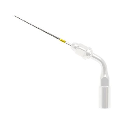 Piezoelektrischer Ultraschalleinsatz - B&L Biotech USA - zur endodontischen Durchblutung
