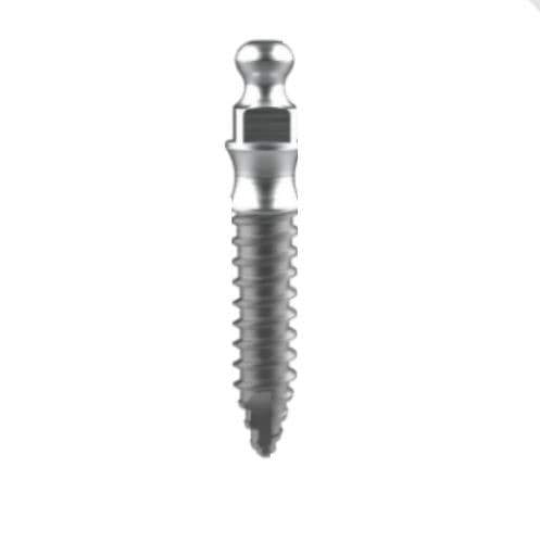 Konisches Mini-Implantat - BOB series - BIOTEM.Co.,Ltd   - Titan / konisch / Kugel