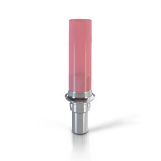 Implantat-Abutment / Kunststoff - K2246 series - CAMLOG Biotechnologies - mit Innenverbindung / gerade