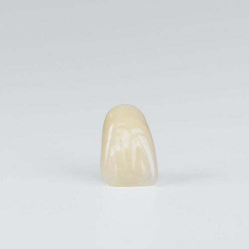 Acrylzahnprothese - Preference Acrylic - Candulor - für Vorderzähne / für Seitenzähne