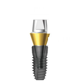 Implantat-Abutment / Titan - Combi  - Dentium - mit Innenverbindung / gerade