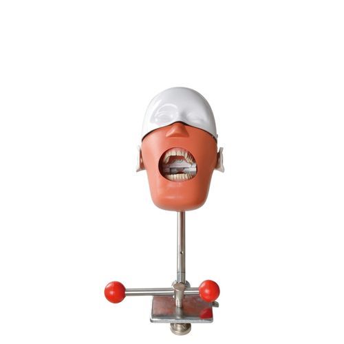 Trainingssimulator - Foshan Roson Medical Instrument - Dental / für Allgemeinpflege / für Zahnerkrankungen
