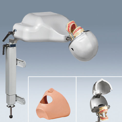 Patientensimulator für Zahnbehandlung - PK-1 TL - frasaco - Kopf