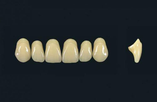 Acrylpolymer-Zahnprothese - TRIBOS 501  T66-UJ-C2 - GEBDI Dentalproducts GmbH   - für Vorderzähne
