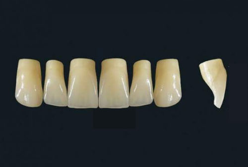 Acrylpolymer-Zahnprothese - TRIBOS 501 VR43-UJ-C3 - GEBDI Dentalproducts GmbH   - für Vorderzähne