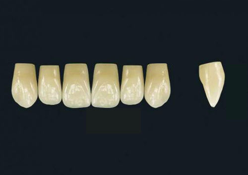 Acrylpolymer-Zahnprothese - TRIBOS 501 VT76-UJ-C2 - GEBDI Dentalproducts GmbH   - für Vorderzähne