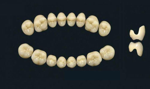 Acrylpolymer-Zahnprothese - TRIBOS 501 SLA-UJ-B1 - GEBDI Dentalproducts GmbH   - für Seitenzähne