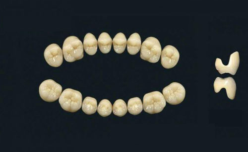 Acrylpolymer-Zahnprothese - TRIBOS 501 C SMA-UJ-B1 - GEBDI Dentalproducts GmbH   - für Seitenzähne