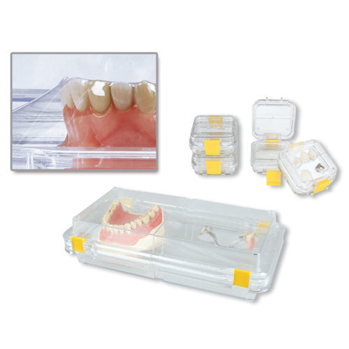 Gebissdose - 304603 - Hager & Werken