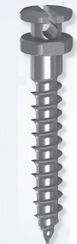 Zylindrisches Mini-Implantat - 25-1610 series - Dewimed Medizintechnik - Titan / zur kieferorthopädischen Verankerung / selbstschneidend