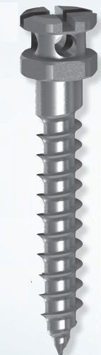 Zylindrisches Mini-Implantat - 25-1612 series - Dewimed Medizintechnik - Titan / zur kieferorthopädischen Verankerung / selbstschneidend