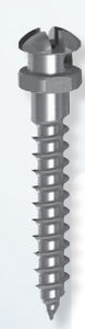 Zylindrisches Mini-Implantat - 25-161 series - Dewimed Medizintechnik - Titan / Schrauben / zur kieferorthopädischen Verankerung
