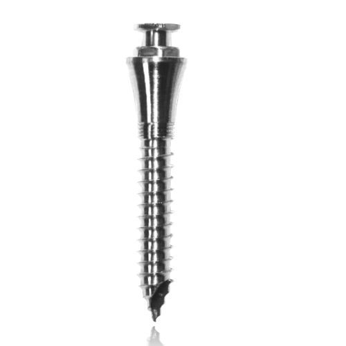 Mini-Implantat / Titan - 25-163 series - Dewimed Medizintechnik - gerade / zur kieferorthopädischen Verankerung / glatt