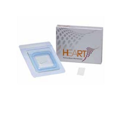 Zahnchirurgie-Matrix - 80000003 - INDUSTRIA ZINGARDI SRL  