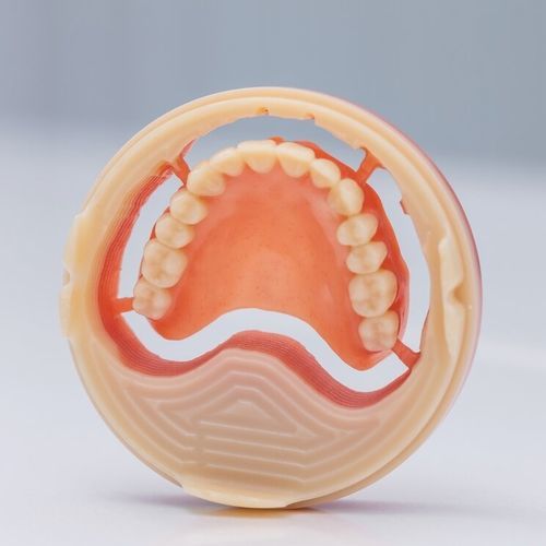 Anatomisches Modell / Zahnfleisch - Ivotion® - Ivoclar Vivadent - Gebiss / Kiefer / Dental