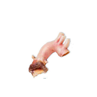 Biologischer Aortenklappenersatz / Aorta - CardioGraft® - Lifenet Health  