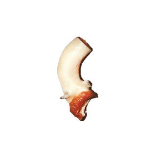 Aorta ascendens vaskuläre Bioprothese - CardioGraft® - Lifenet Health   - allograft
