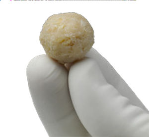 Allograft-Knochenersatzmaterial - ViviGen®  - Lifenet Health   - für orthopädische Chirurgie / formbar