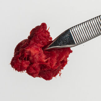 Allograft-Knochenersatzmaterial - PliaFX® - Lifenet Health   - für Kiefer- und Gesichtschirurgie / formbar
