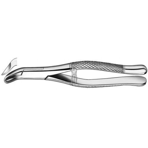 Dentale Extraktionszange / für Weisheitszähne - 409/5 - Carl Martin GmbH   - amerikanisch