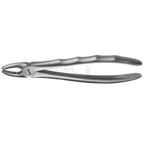 Dentale Extraktionszange / für Prämolaren - LS1 - Carl Martin GmbH  