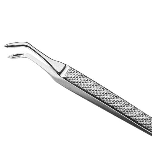 Chirurgische Dentalpinzette - 1030 - MEDESY s.r.l.   - gebogen