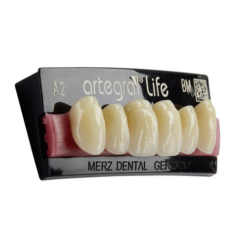 PMMA-Zahnprothese - artegral®life - Merz Dental GmbH   - für Vorderzähne / für Seitenzähne / lichtdurchlässig