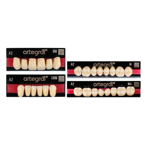 PMMA-Zahnprothese - artegral®  - Merz Dental GmbH   - für Vorderzähne / für Seitenzähne / präfabriziert