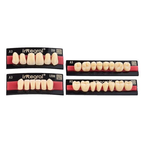 PMMA-Zahnprothese - integral® - Merz Dental GmbH   - für Vorderzähne / für Seitenzähne / anatomisch geformt